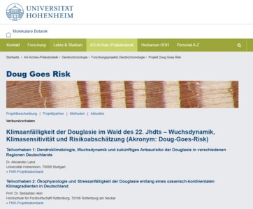 Screenshot der Internetseite des Projektes "Doug-Goes-Risk"