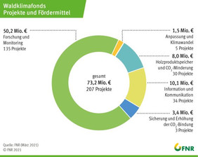 Übersicht über die Verteilung der Fördermittel auf die Projekte des Waldklimafionds. Grafik: FNR/März 2021