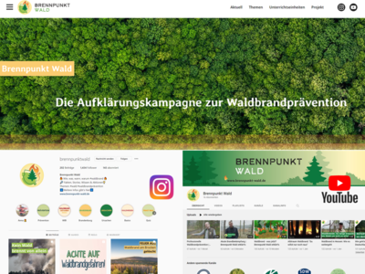 Screenshot Internetseite, Instagram- und YouTube-Kanal vom Projekt Brennpunkt Wald