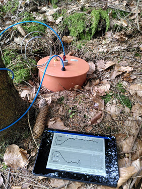 Kammermessung im Waldboden, bei der der Methanabfall und der CO2-Anstieg während der Messung direkt übertragen wird. Foto: Lang, Verena (FVA)
