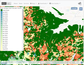 Darstellung eines Ausschnitts geschädigter Waldflächen (farbige Abstufung je nach Schadzeitpunkt) der EOC-Karten zum Verlust der Baumkronenabdeckung in Deutschland zwischen 2018 und 2021. Quelle: Screenshot EOC Geoservice