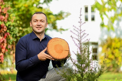 Die Libanonzeder gilt als Alternativbaumart für den Anbau im Klimawandel. Dr. Muhidin Šeho vom Bayerischen Amt für Waldgenetik, Koordinator im Forschungsprojekt „CorCed“, mit einer Baumscheibe der Libanonzeder. Foto: Tobias Hase StMELF