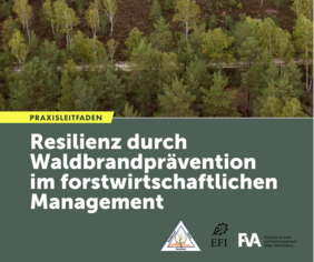 Der neue Praxisleitfaden des Waldklimafondsprojektes WKR erläutert Verfahren des forstlichen Managements für eine erhöhte Waldbrandresilienz. Quelle: Screenshot WKR Praxisleitfaden