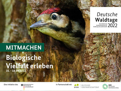 Beteiligen Sie sich jetzt an den Deutschen Waldtagen 2022 mit Ihrer Veranstaltung und laden Sie Menschen aus Ihrer Region ein, die biologische Vielfalt des Waldes zu erleben. Mehr Infos unter www.deutsche-waldtage.de. Bildquelle: Goran – stock.adobe.com